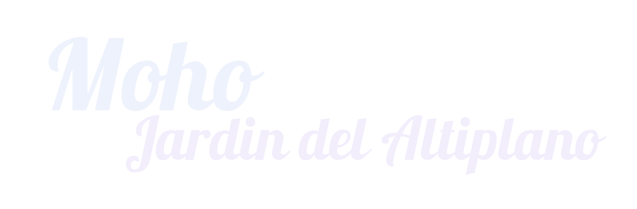 Puno