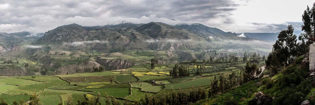 Colca Canyon trekking tours in 2 days or 3 days