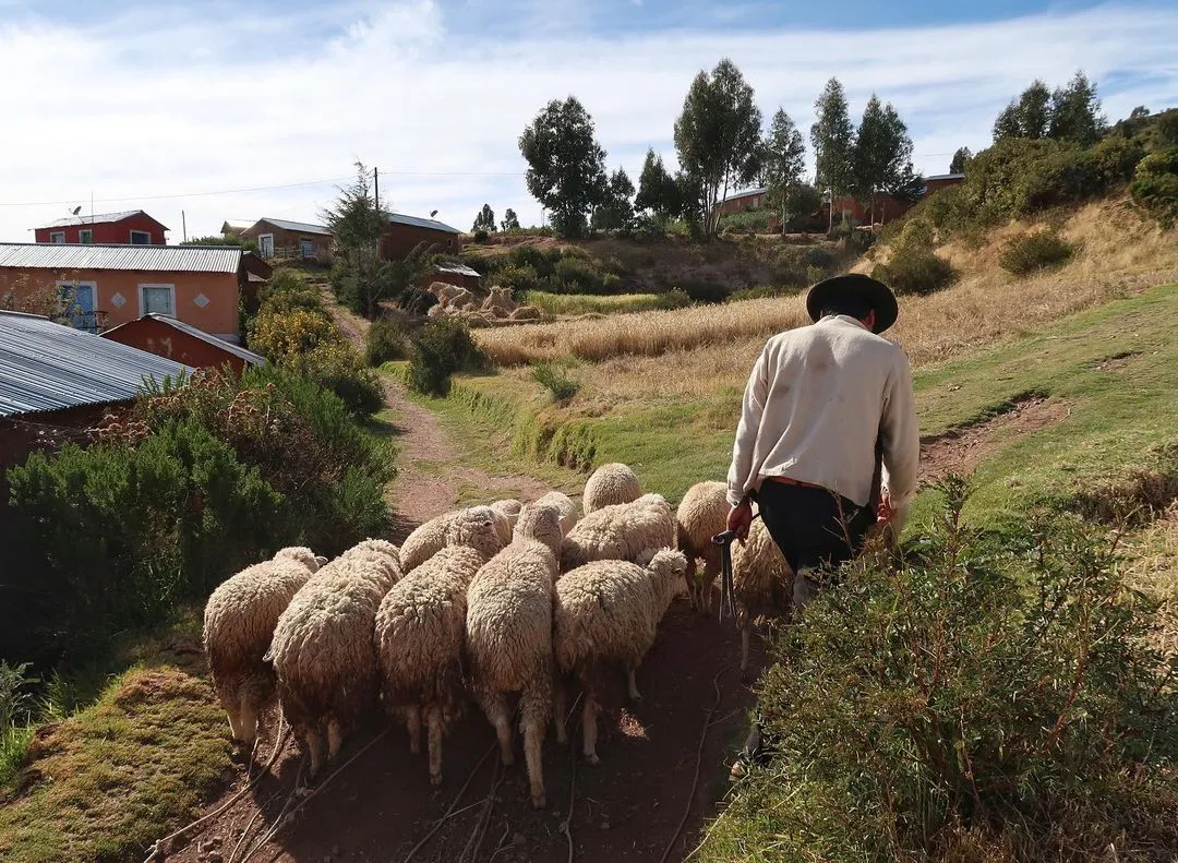 Tour Taquile – Luquina – Uros 2 Tage - TOUR TAQUILE – LUQUINA – UROS