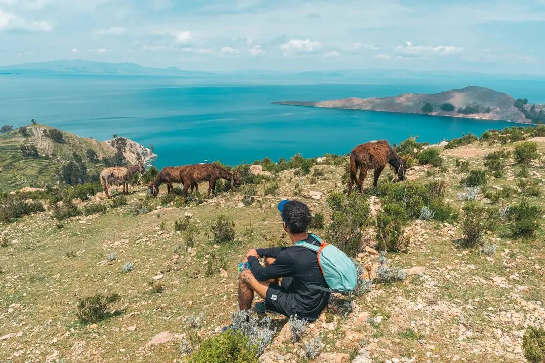 Sun island guided visit from Puno in 1 day - Full day tour to Sun Island from Puno