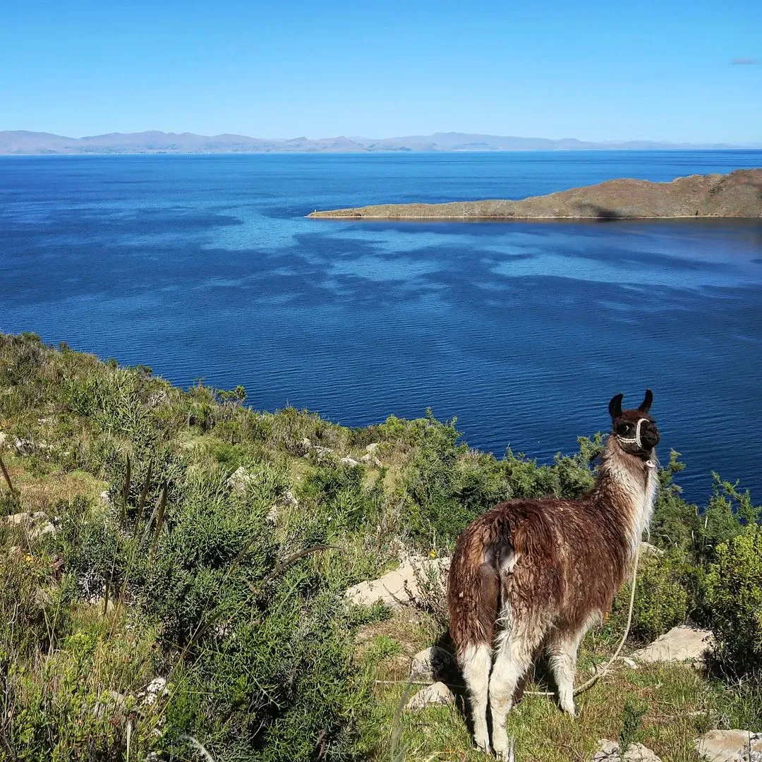 Sun island guided visit from Puno, ending in La Paz in 1 day - Full day tour to Sun Island from Puno