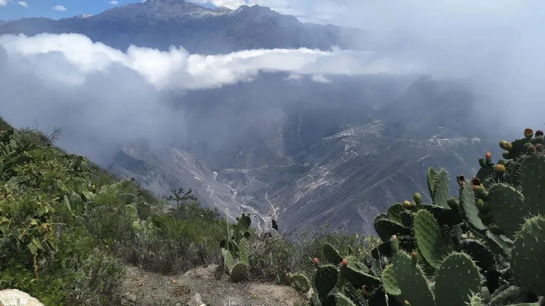 Full Day Tour Puno – Colca – Arequipa (1d) - Full day Tour al cañon del Colca desde Arequipa (1d)