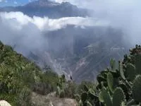 Full Day Tour Puno – Colca – Arequipa (1d) - Imagen 7