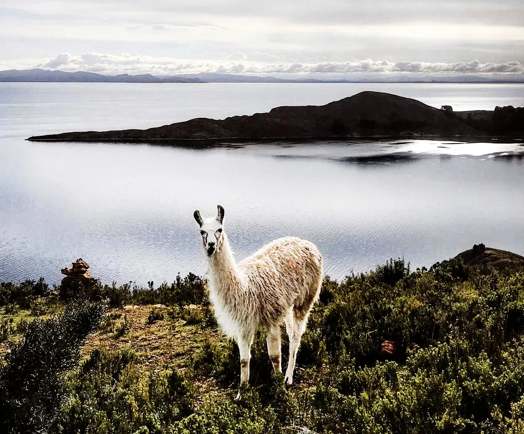 Journée Complete De L'île De Soleil - Tour a la isla del sol desde Copacabana(1D)