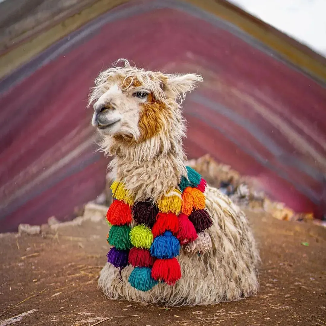 Tour to the Rainbow Mountain, Vinicunca - Tour to rainbow mountain – vinicunca - full day