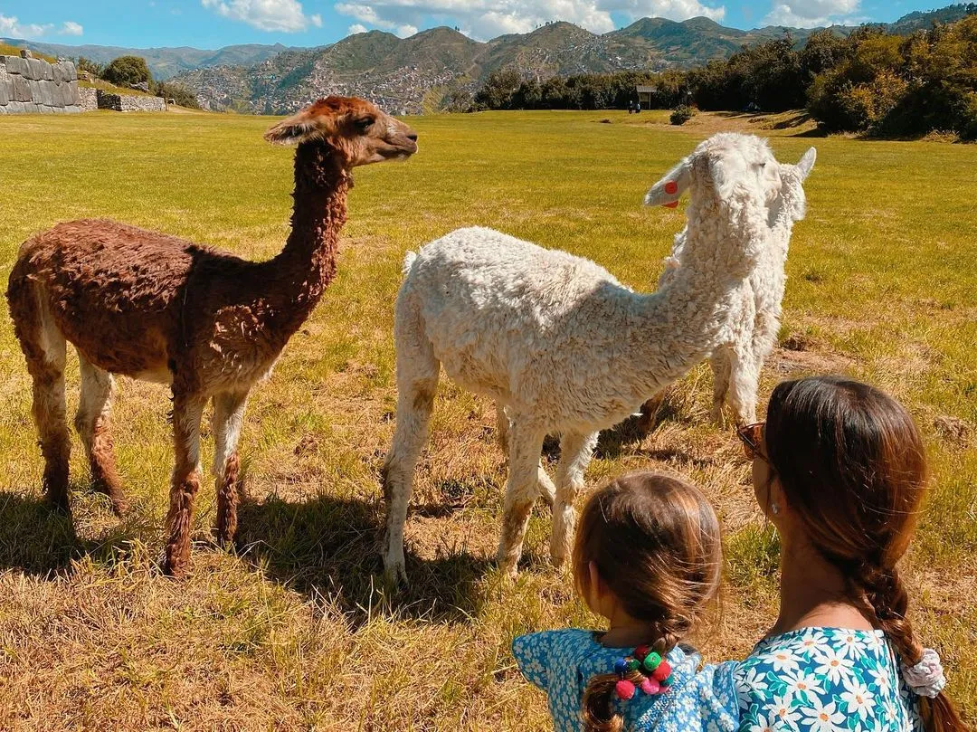 City Tour Privado en la Ciudad del Cusco - City tours Cusco