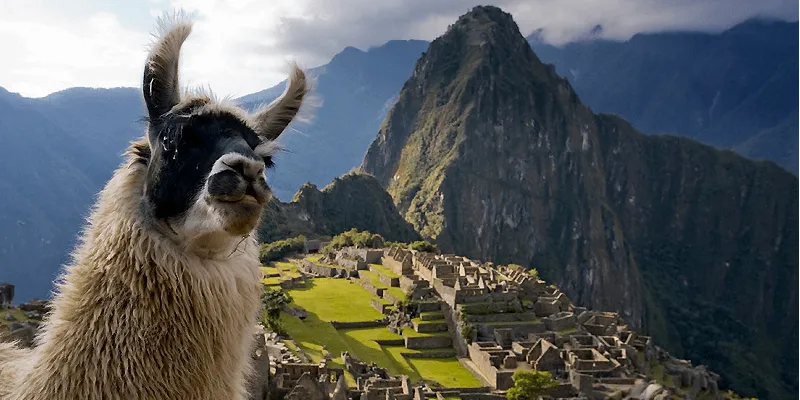 Paquete Turistico 6D-5N en la Ciudad de Cusco - Paquetes turístico en Cusco desde 3 dias hasta 6 días